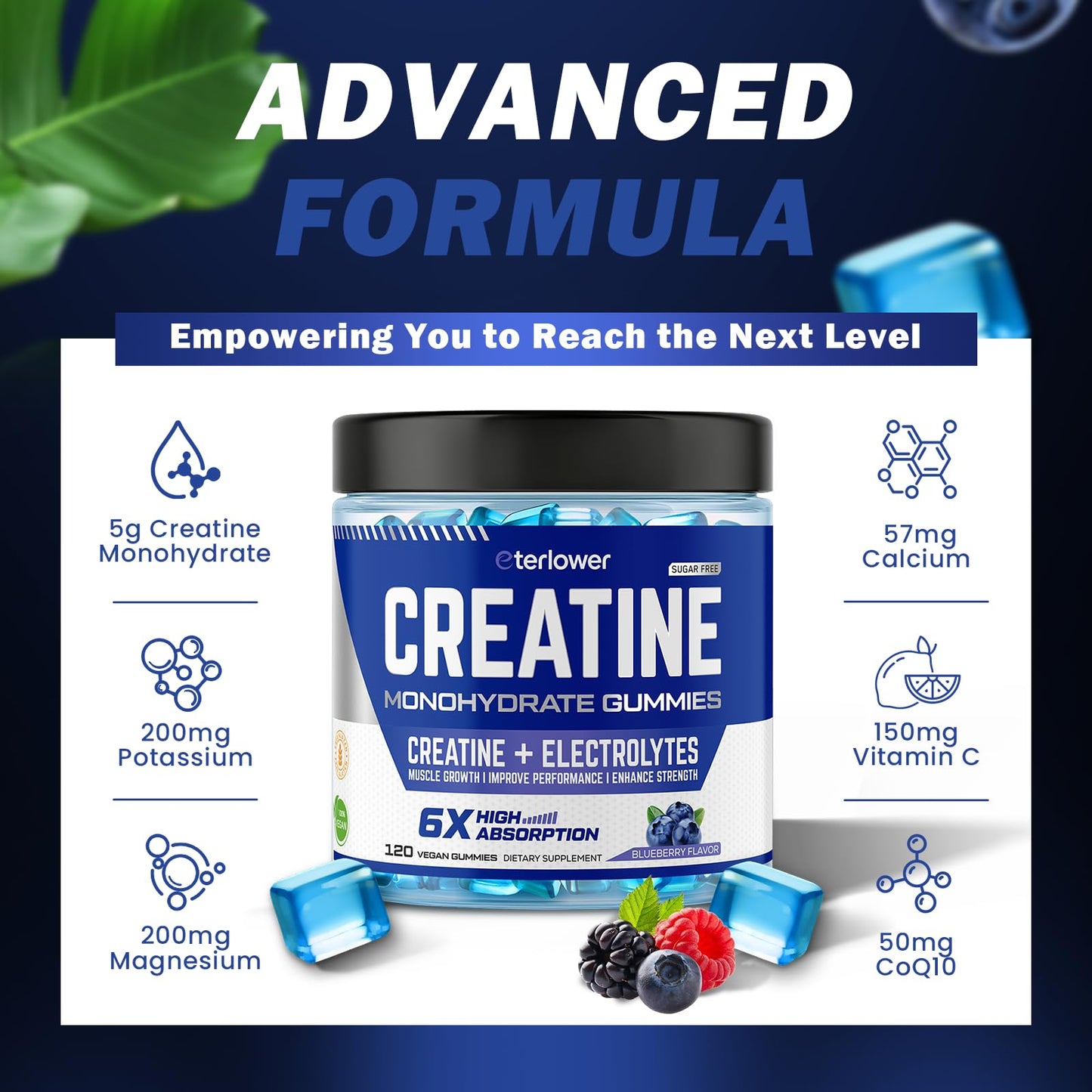 eterlower Creatine Monohydrate Gummies 5g – Blueberry, Sugar Free & Vegan | 120 Count