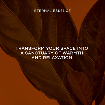 Eternal Essence Oils Autumn Set – 6 Premium Fragrance Oils 10ML
