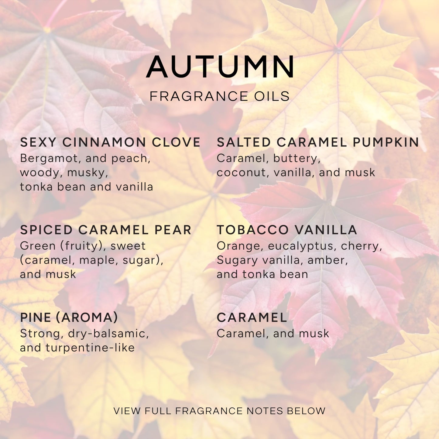 Eternal Essence Oils Autumn Set – 6 Premium Fragrance Oils 10ML