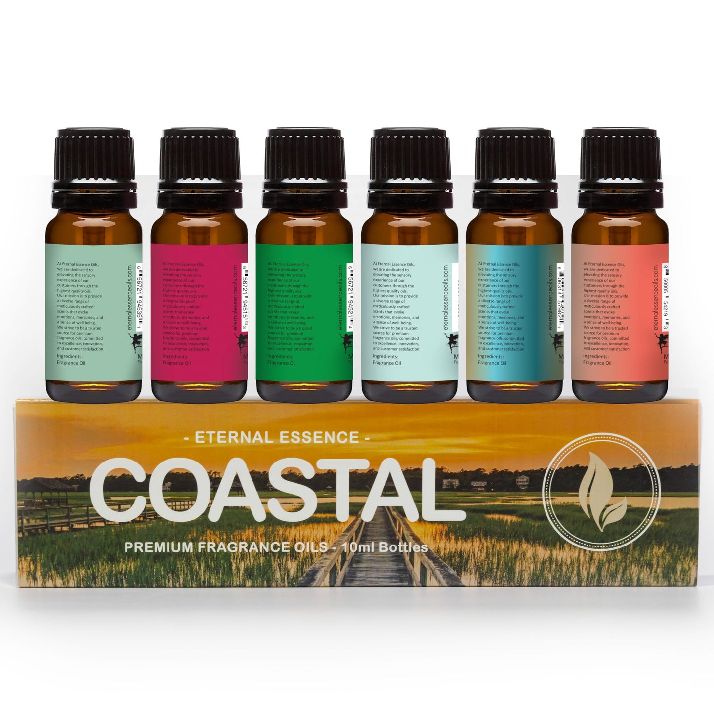 Coastal Set of 6 Premium Fragrance Oils - Eternal Essence Oils 10ml