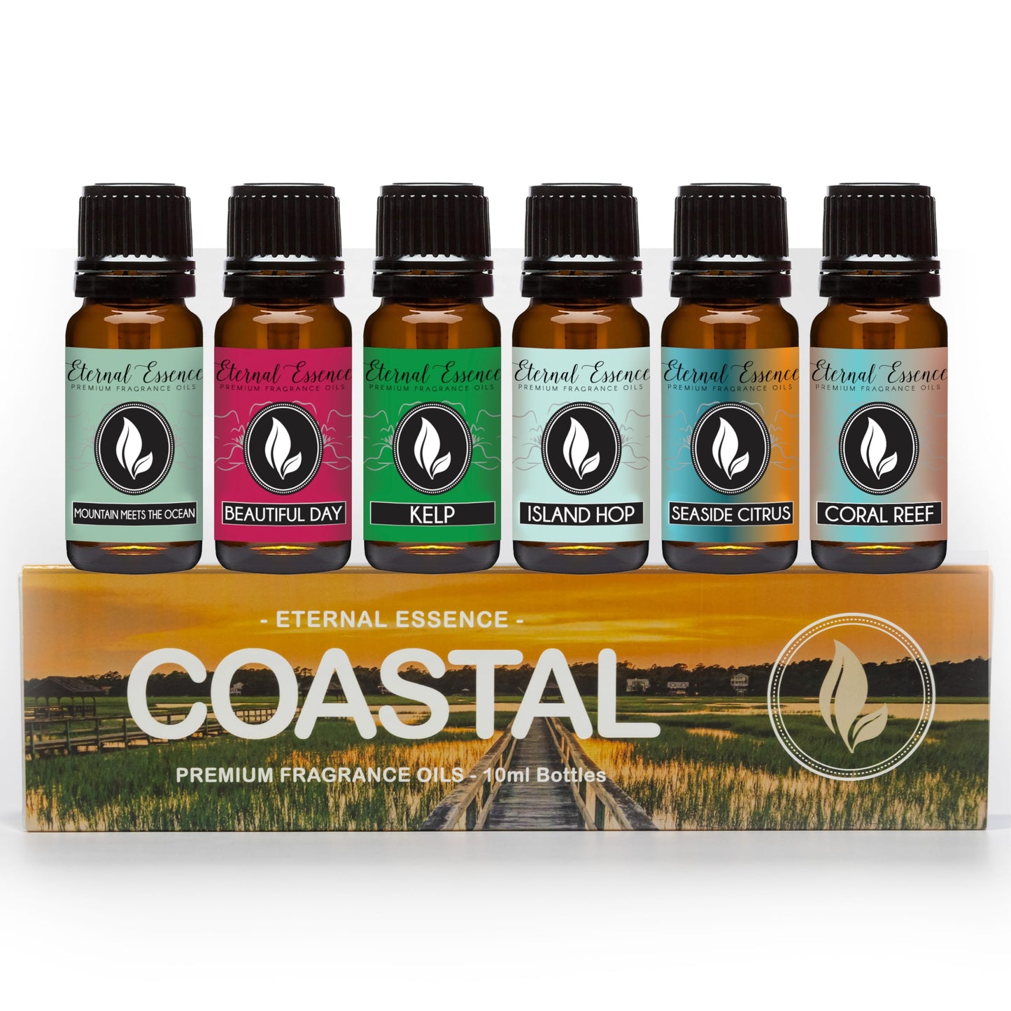 Coastal Set of 6 Premium Fragrance Oils - Eternal Essence Oils 10ml