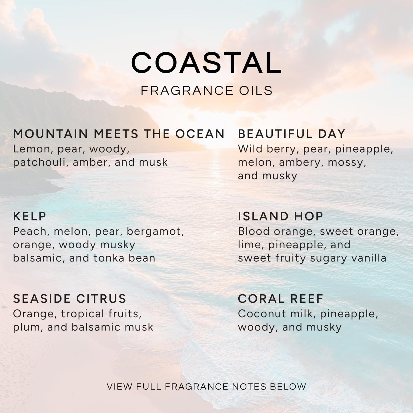 Coastal Set of 6 Premium Fragrance Oils - Eternal Essence Oils 10ml