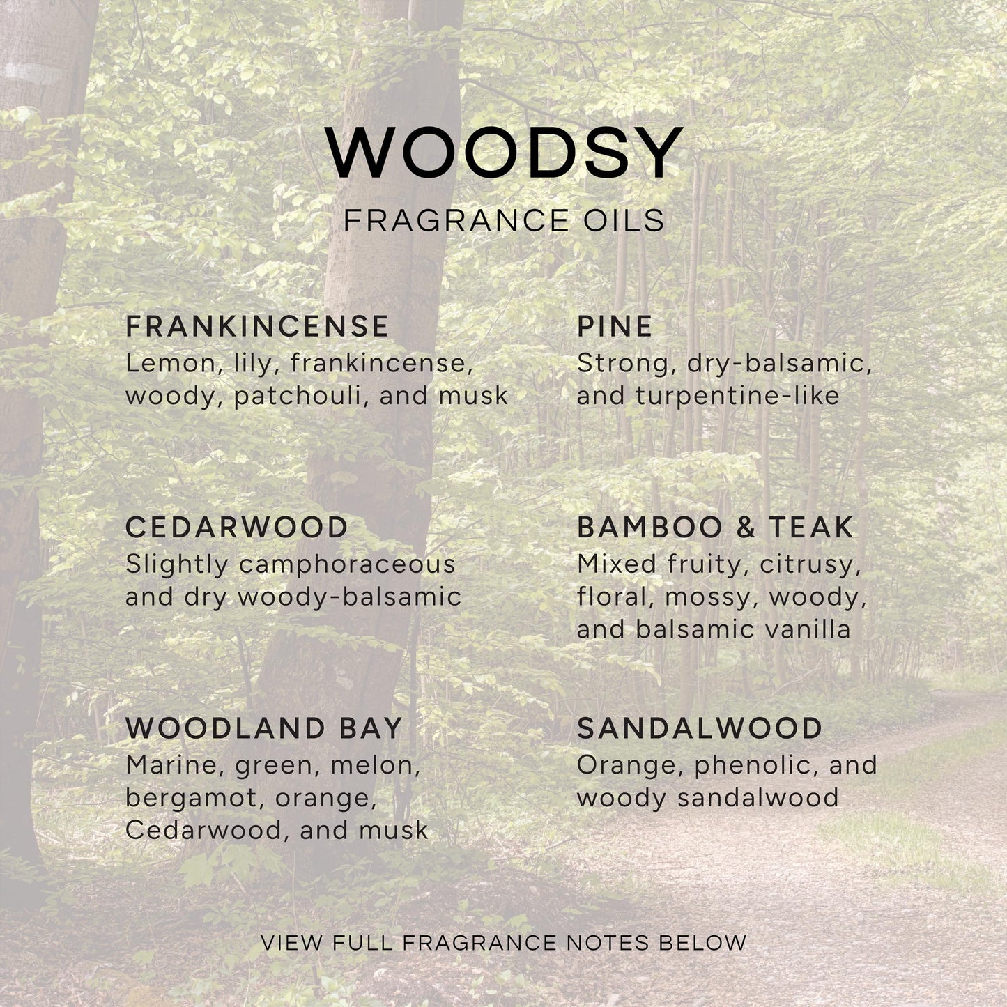 Woodsy Premium Fragrance Oils Set (6-Pack) – Pine, Cedar Wood, Sandalwood, Woodland Bay & Frankincense | Eternal Essence Oils