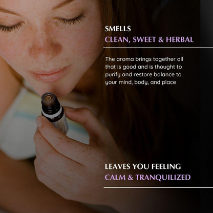 White Sage & Lavender Diffuser Blend by Aromafume – 3x10ml | Ethically Sourced
