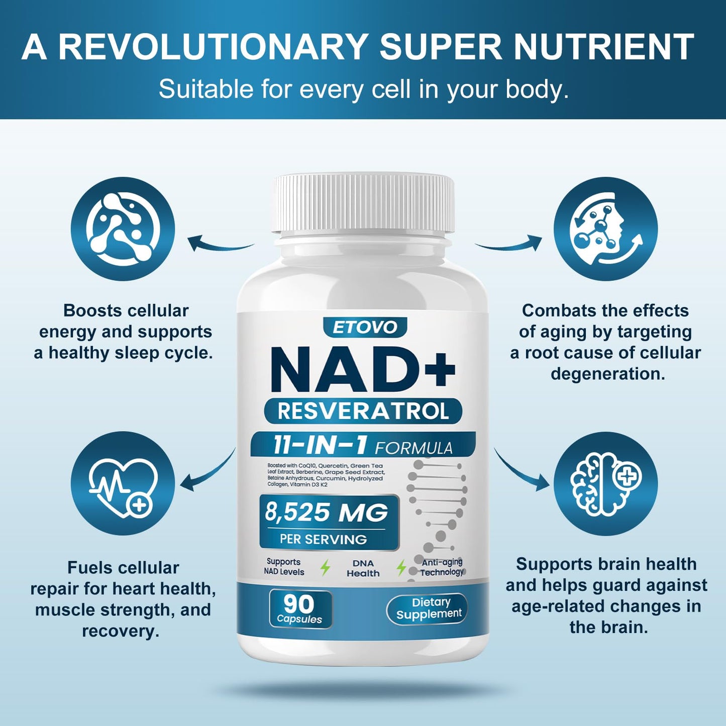 ETOVO NAD+ Supplement – Liposomal NAD Booster with Resveratrol, Quercetin & Curcumin (2 Bottles, 90 Capsules Each)