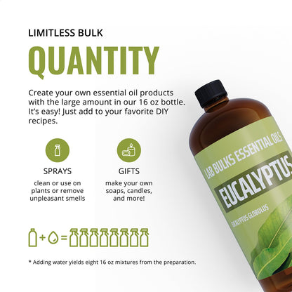 Lab Bulks Eucalyptus Essential Oil 16 oz (473 ml) for Diffusers, Home Care, Candles, Aromatherapy, Candle Making