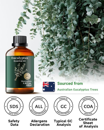 Pure Eucalyptus Essential Oil for Outdoor Shield – Patio & Garden | Mumianhua 3.38 Fl Oz
