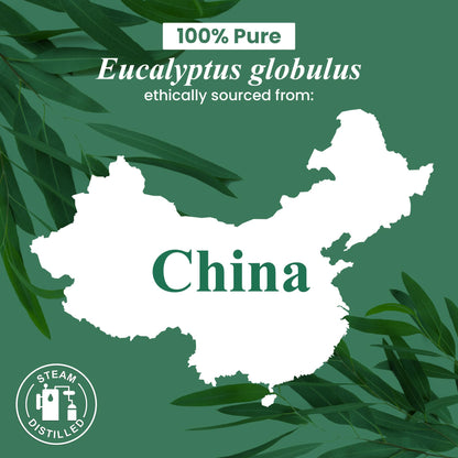 Handcraft Blends Eucalyptus Essential Oil – 16 oz, 100% Pure & Natural