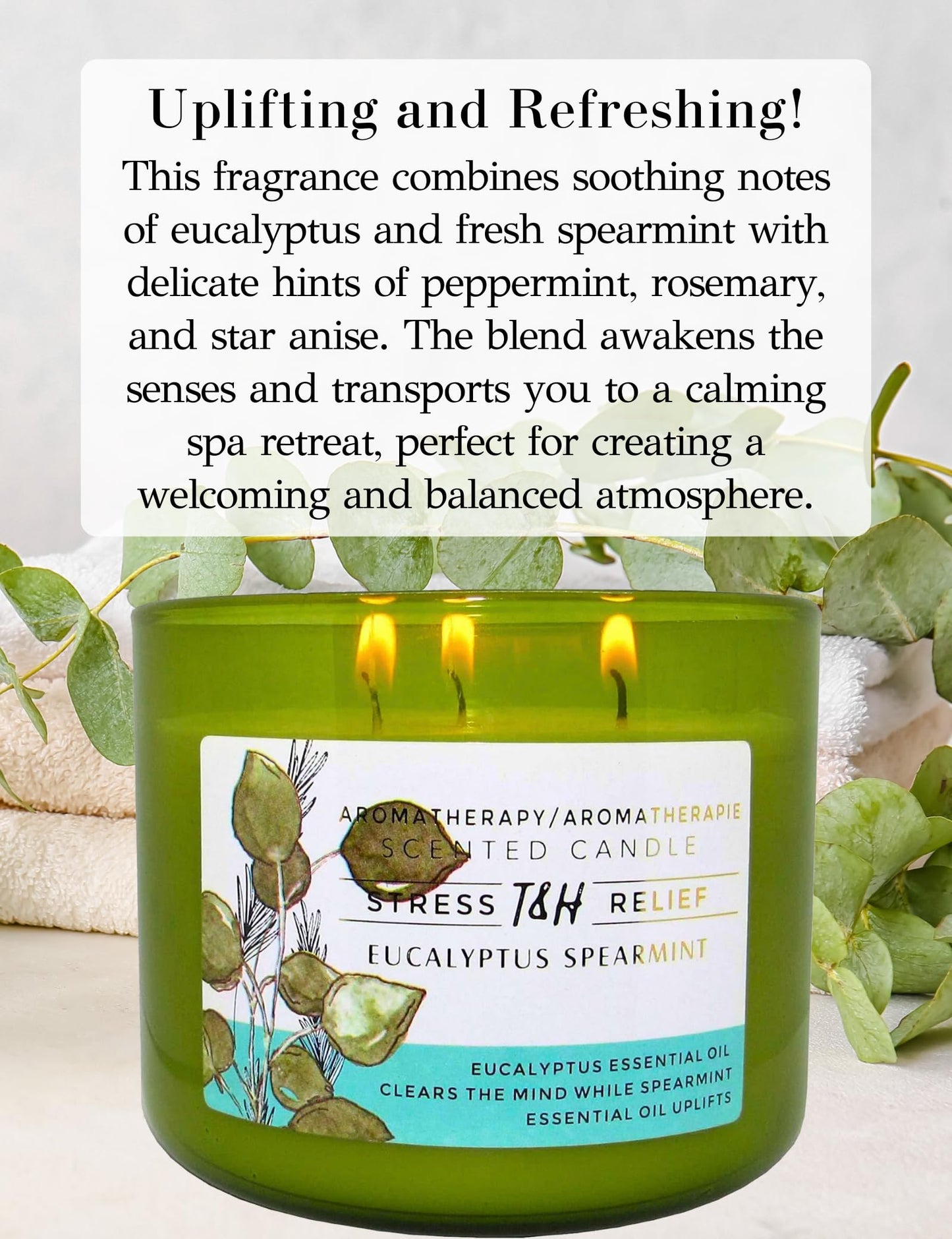 Eucalyptus Spearmint 3-Wick Soy Candle – 15.8 oz Aromatherapy Candle