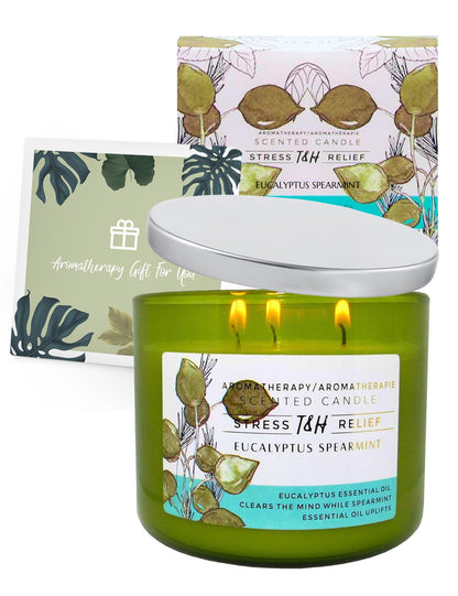 Eucalyptus Spearmint 3-Wick Soy Candle – 15.8 oz Aromatherapy Candle