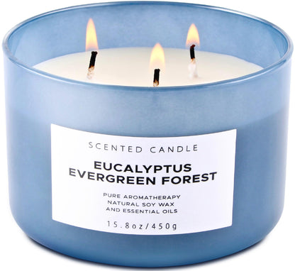 Eucalyptus Evergreen Forest 3-Wick Soy Candle – 15.8 oz | Winter Pine, Balsam Fir & Evergreen Scented