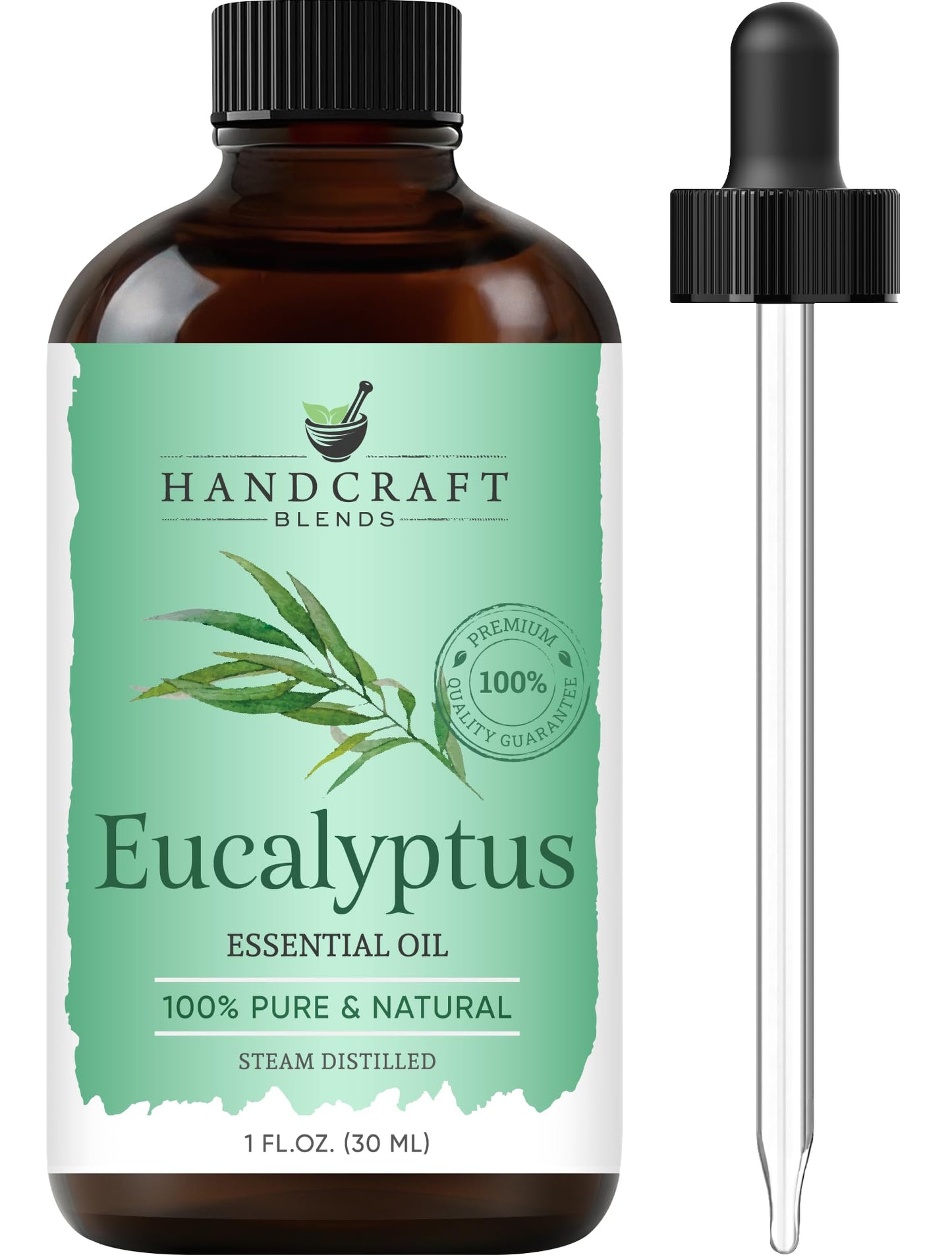 Handcraft Blends Eucalyptus Essential Oil – 1 Fl Oz, 100% Pure & Natural