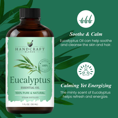 Handcraft Blends Eucalyptus Essential Oil – 1 Fl Oz, 100% Pure & Natural