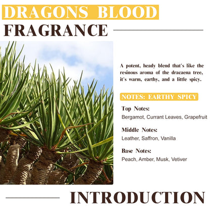 EUQEE Dragons Blood Fragrance Oil 60ml (2.02 fl oz) with Glass Dropper – Diffusers, Soap Making, Bath Bombs