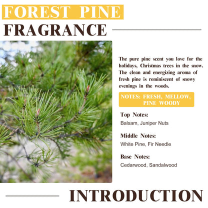 EUQEE Forest Pine Fragrance Oil – Premium 60ml / 2.02 fl oz with Glass Dropper | Diffusers, Candles, Soaps