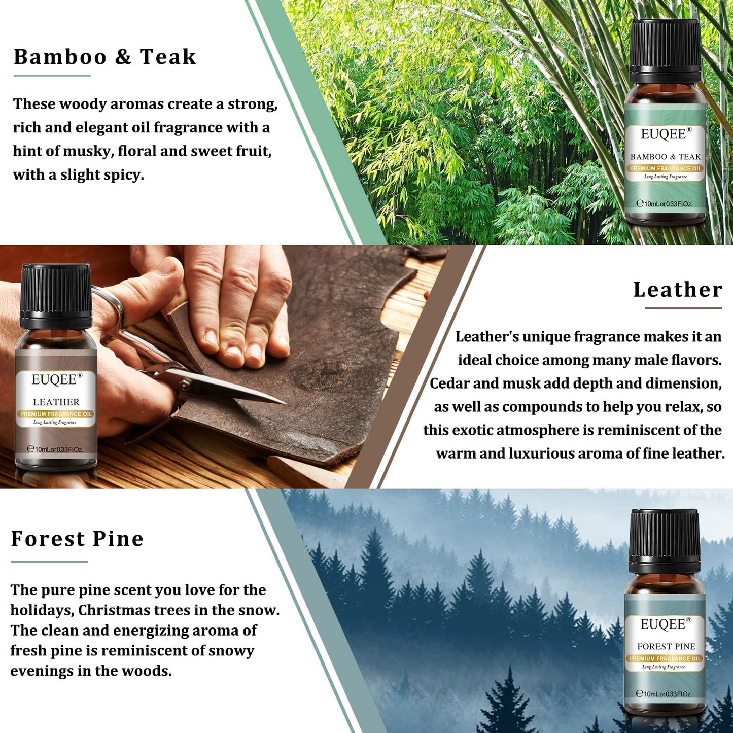 EUQEE Fragrance Oils Gift Set - Premium Woody Scents 6x10ml