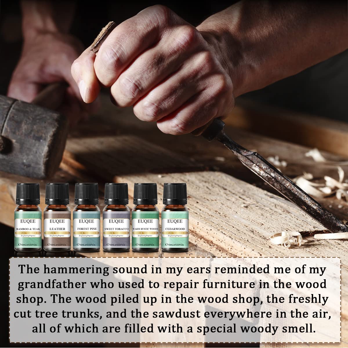EUQEE Fragrance Oils Gift Set - Premium Woody Scents 6x10ml