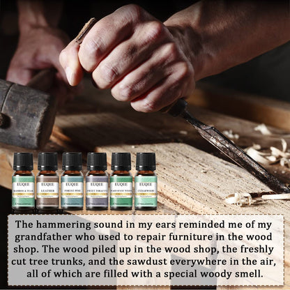 EUQEE Fragrance Oils Gift Set - Premium Woody Scents 6x10ml