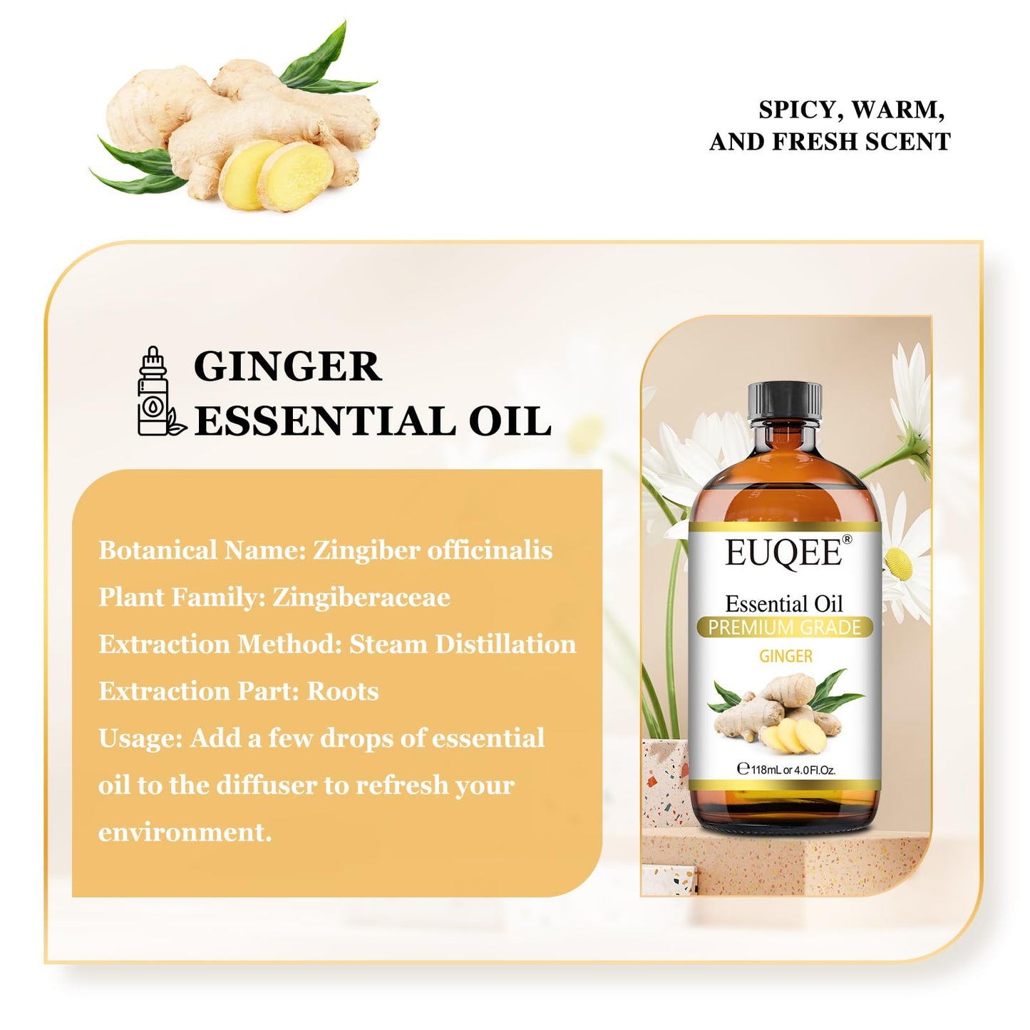 EUQEE Ginger Essential Oil 118mL – Pure Ginger Oil in Amber Bottle with Glass Dropper