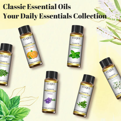 EUQEE 6-Piece Essential Oils Set – 10ml Each (Lavender, Eucalyptus, Peppermint, Tea Tree, Sweet Orange, Lemongrass)