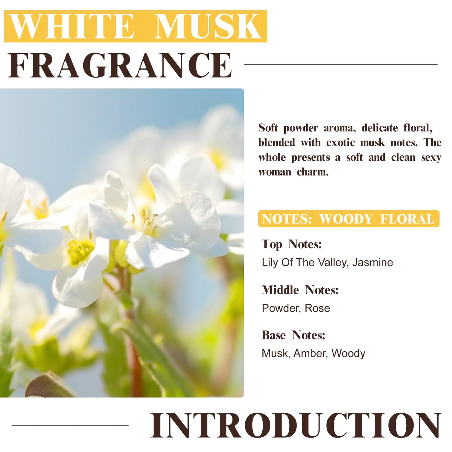 EUQEE White Musk Fragrance Oil – 60 ml (2.02 fl oz) for Diffusers, Candles, Soaps