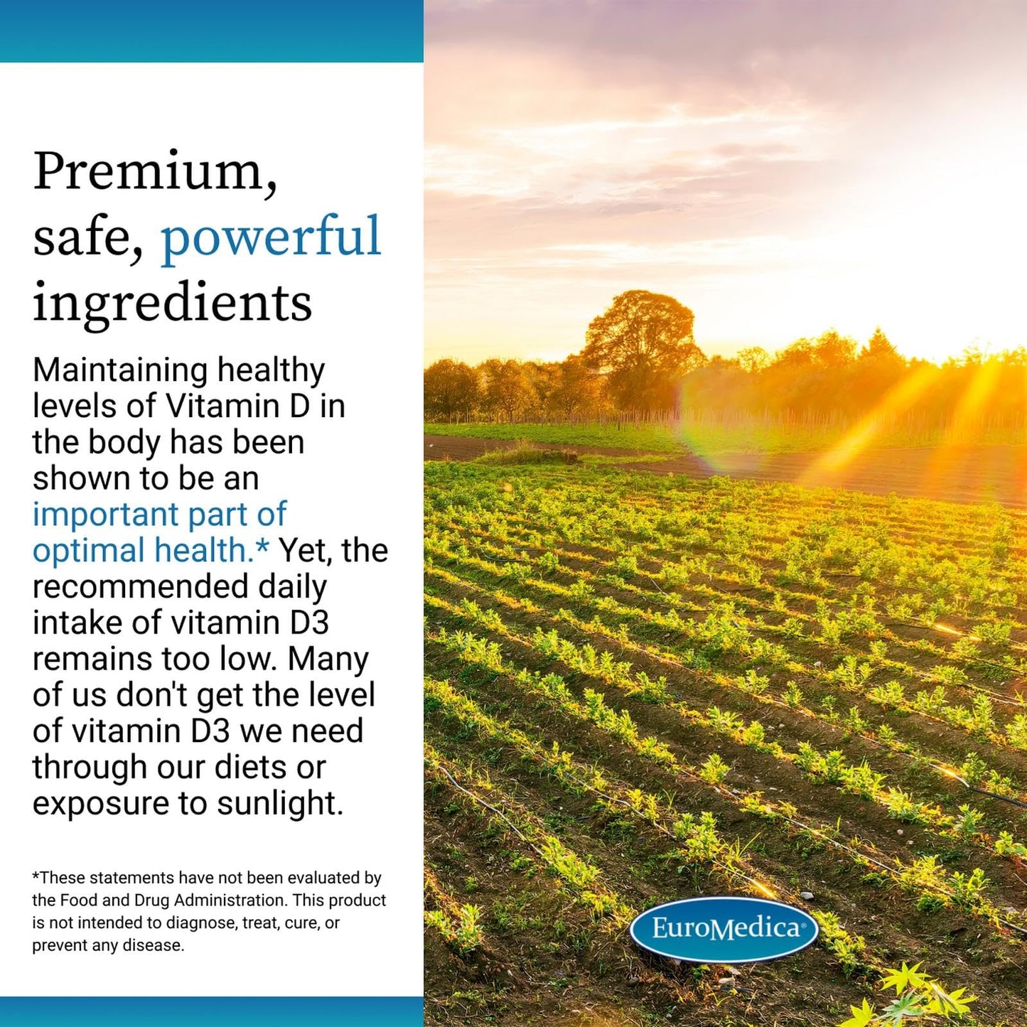 EuroMedica Vitamin D3 5000 IU – Bone Health & Immune Support (Berry) 90 Chewables