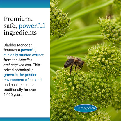 EuroMedica Bladder Manager - Bladder Health Supplement with Angelica Leaf Extract | Vegan Capsules (30)