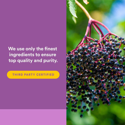 Natural Factors Black Elderberry 100 mg - 60 Fast-Acting Softgels