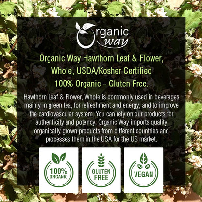 Organic Hawthorn Leaf & Flower Whole Tea (Crataegus monogyna) – European Wild-Harvest, Organic, Kosher & USDA Certified