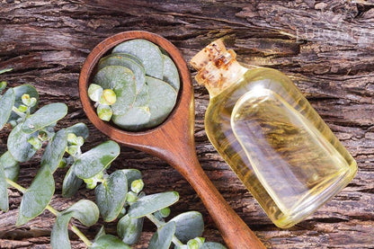 EuroSpa Aromatics Pure Eucalyptus Oil ShowerMist & Steam Room Spray – All-Natural 8oz
