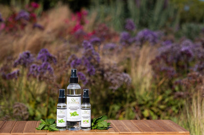 EuroSpa Aromatics Pure Eucalyptus Oil ShowerMist and Steam Room Spray, All-Natural Premium Aromatherapy Essential Oils - Variety Pack, 2 oz