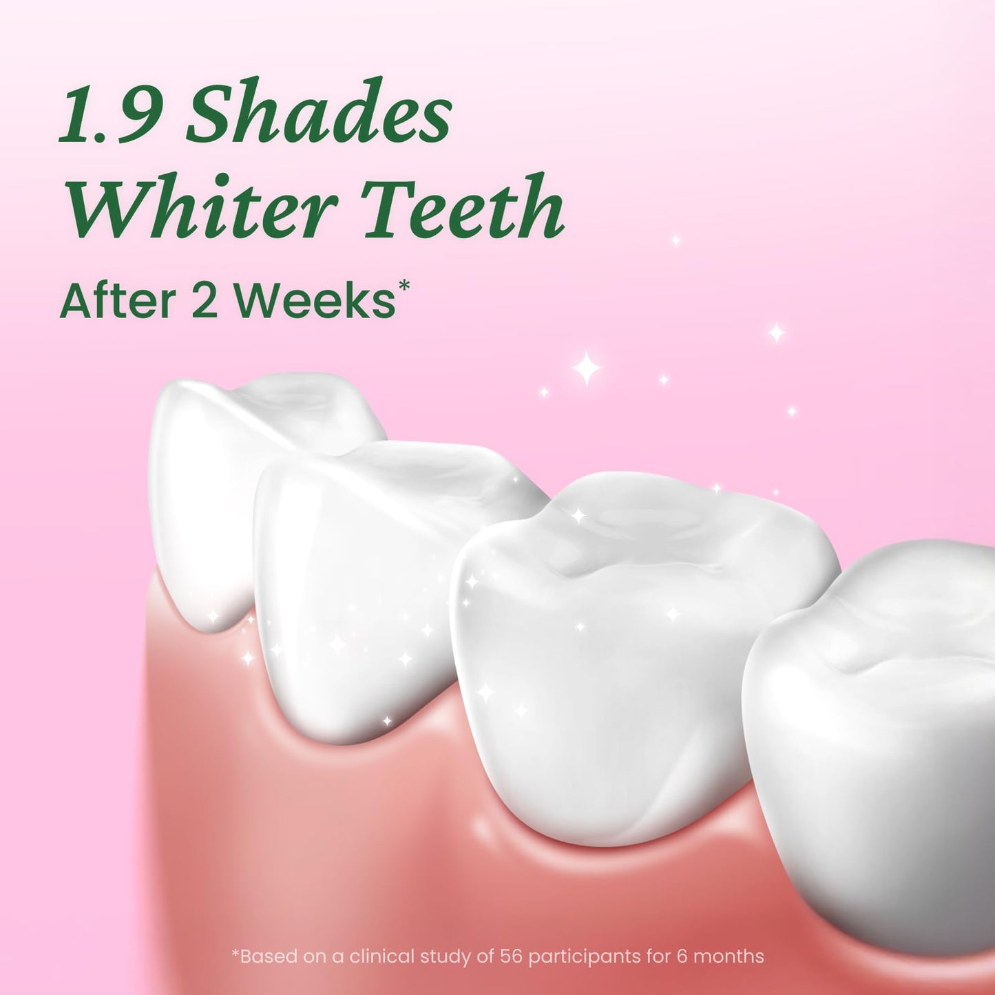 EUTHYMOL Whitening Toothpaste Pack of 2 - 3.7oz Each, Stain Removal in 2 Weeks, Fresh Breath & Cavity Protection