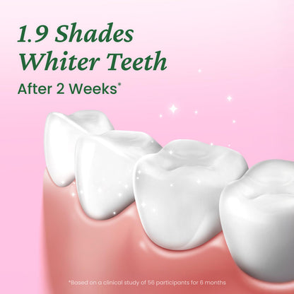 EUTHYMOL Whitening Toothpaste Pack of 2 - 3.7oz Each, Stain Removal in 2 Weeks, Fresh Breath & Cavity Protection