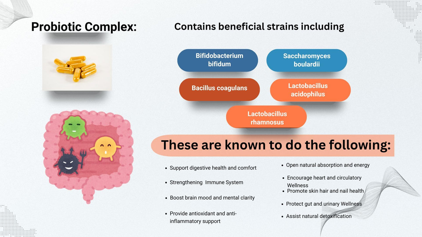 EVER VITALESSENTIALS LLC Probiotics with Turmeric - Daily Wellness Capsule