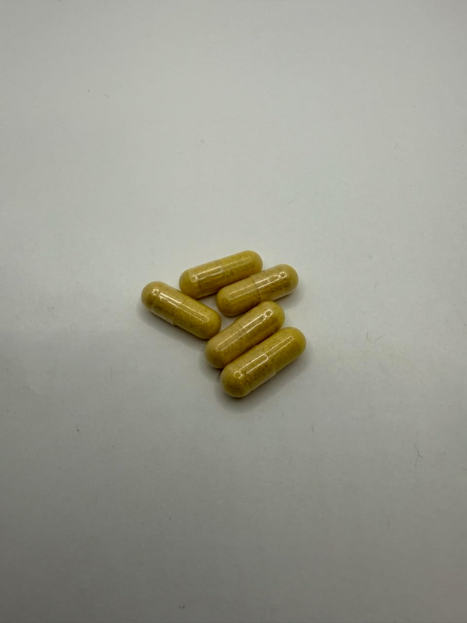 EVER VITALESSENTIALS LLC Probiotics with Turmeric - Daily Wellness Capsule