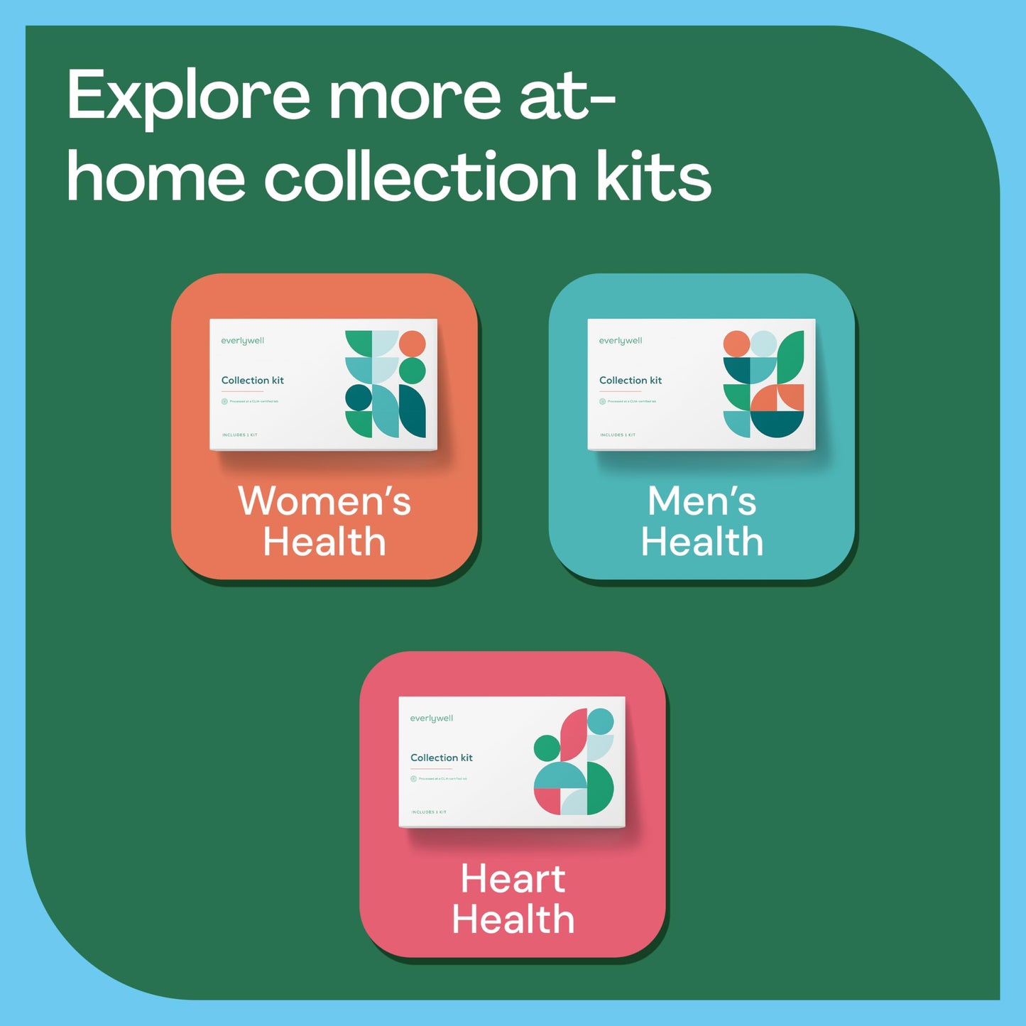 Everlywell Food Sensitivity Comprehensive Test - Learn How Your Body Responds to 204 Foods - At-Home Collection Kit - CLIA-Certified Labs - Ages 18 Plus
