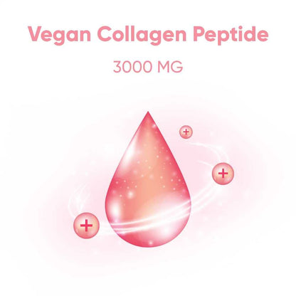EVERYDAZE Essential Collagen Jelly Stick - Vegan Collagen Peptide, Pomegranate | 10 Packs