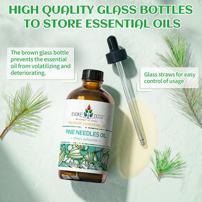 EVOKE OCCU Pine Essential Oil - Fresh Pine Scent for Diffuser, Aromatherapy (4 Fl Oz)