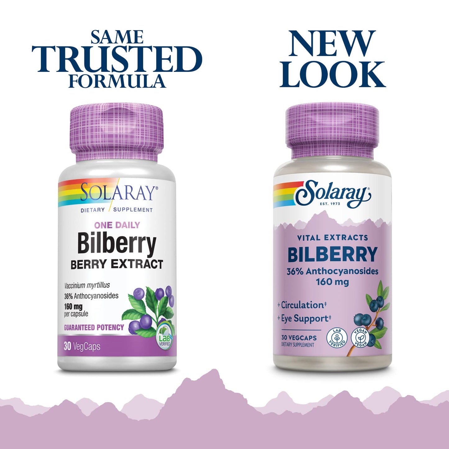 SOLARAY Bilberry Extract 160 mg – Eye Health & Circulation Support | 36% Anthocyanosides | Vegan