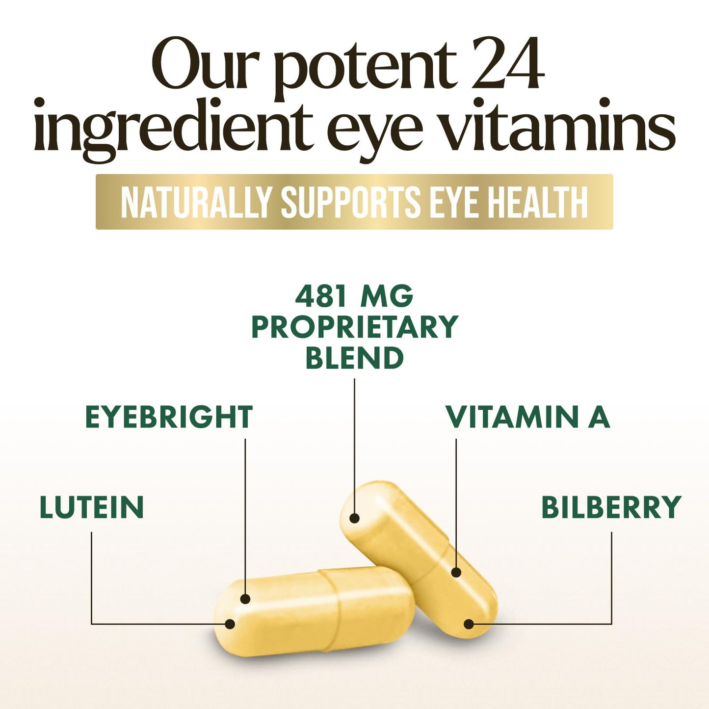 Eye Vitamins & Mineral Supplement – Lutein, Zeaxanthin, Zinc (120 Capsules)