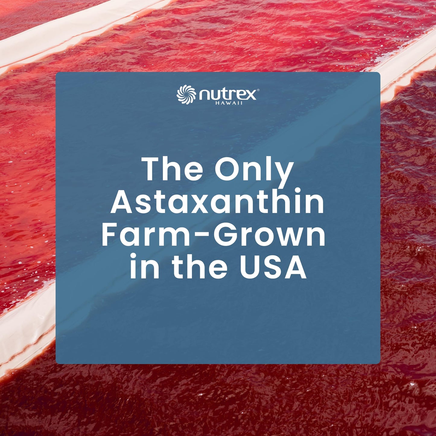 EyeAstin: BioAstin Hawaiian Astaxanthin with Lutein & Zeaxanthin - Supports Eye Health