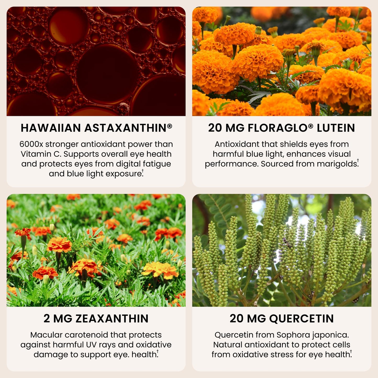 EyeAstin: BioAstin Hawaiian Astaxanthin with Lutein & Zeaxanthin - Supports Eye Health