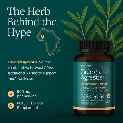 Organic Fadogia Agrestis 600mg for Natural Test Support – 60ct, 2x Purity, 3x Absorbent – Athlete Approved