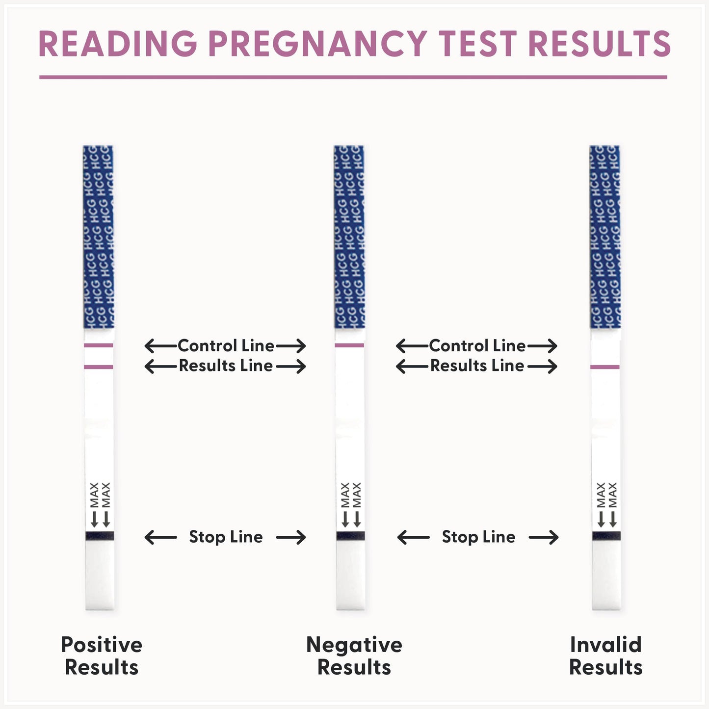 Fairhaven Health BFP Kit - 40 Ovulation & 10 Pregnancy Strips