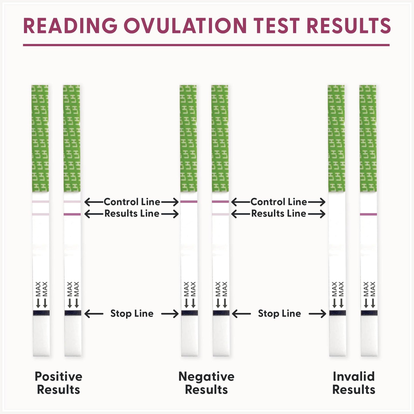 Fairhaven Health BFP Kit - 40 Ovulation & 10 Pregnancy Strips