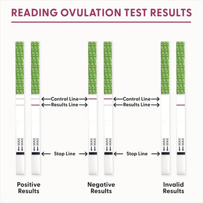 Fairhaven Health BFP Kit - 40 Ovulation & 10 Pregnancy Strips