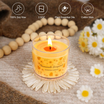 Fall Candles Bulk - 12-Pack Scented Soy Candles for Home & Gift Set