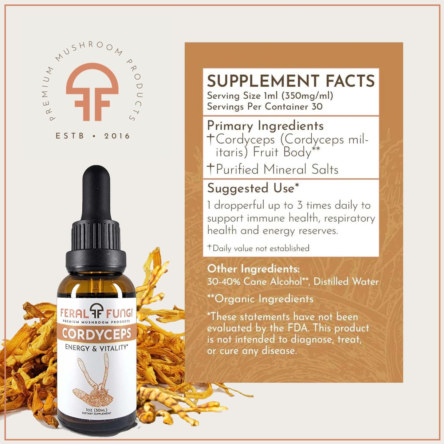 Feral Fungi Cordyceps Tincture – 100% Pure Mushroom Extract (USA Grown) 1 oz
