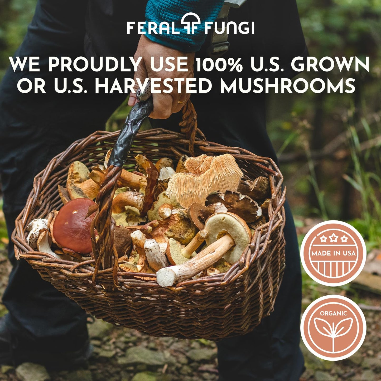 Feral Fungi Myco-Clarity Tincture - 100% Pure Mushroom Extract | USA-Grown 1 oz