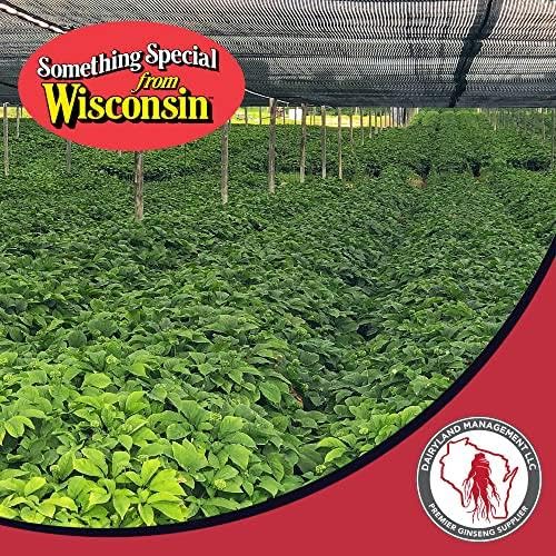 Dairyland American Ginseng Powder - Wisconsin Grown, 4 oz - Non-GMO, Gluten Free